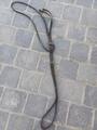 Martingale decathlon cheval havane