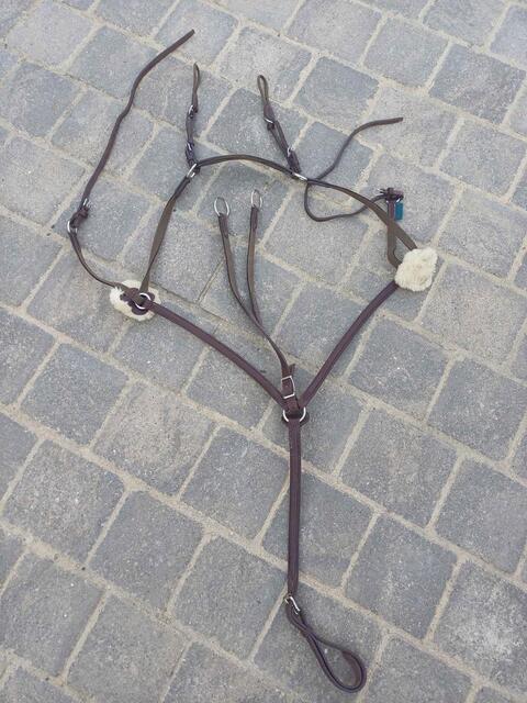 collier de chasse + martingale cheval (biarritz) devoucoux havane
