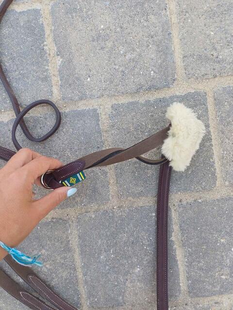 collier de chasse + martingale cheval (biarritz) devoucoux havane