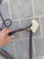 collier de chasse + martingale cheval (biarritz) devoucoux havane