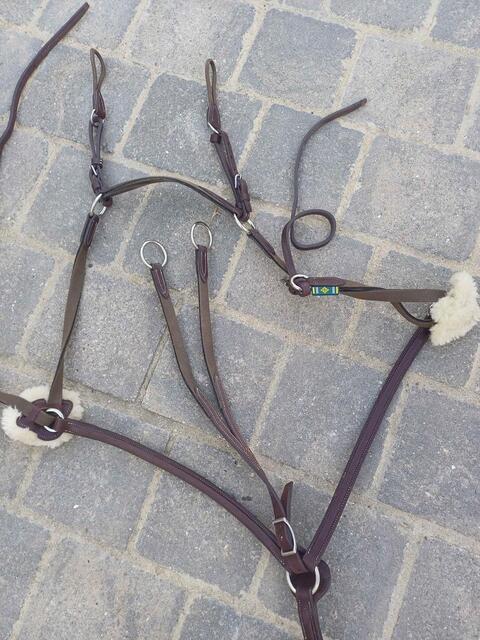 collier de chasse + martingale cheval (biarritz) devoucoux havane