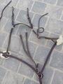collier de chasse + martingale cheval (biarritz) devoucoux havane