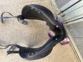 Selle dressage
