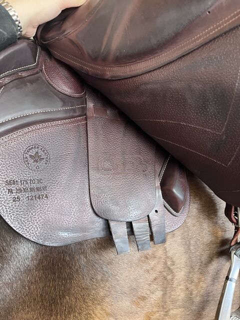 Selle CWD