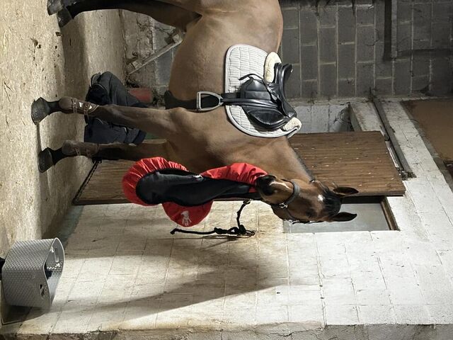 Selle équipe