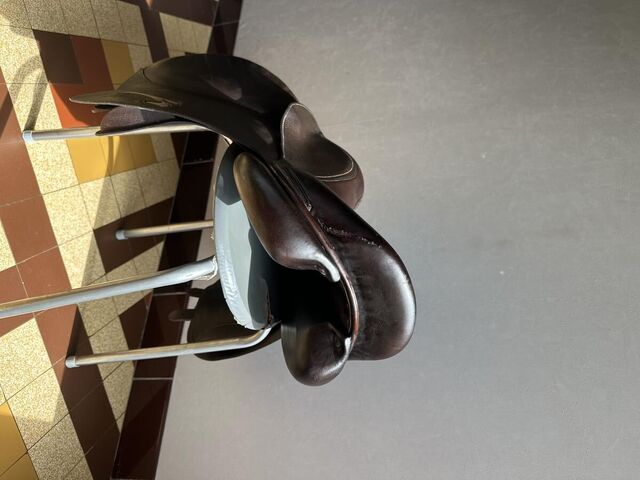 Selle Rebelle