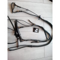 Filet cheval Time Rider