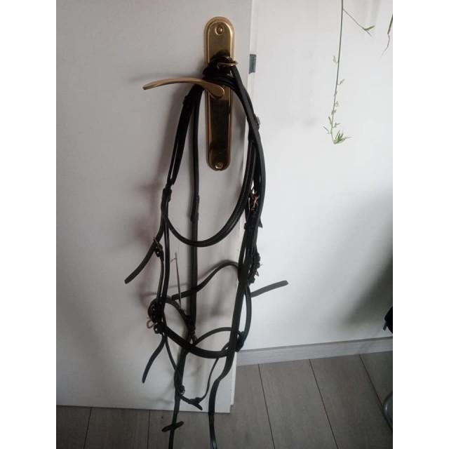 Filet cheval Time Rider
