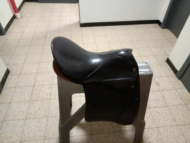 selle