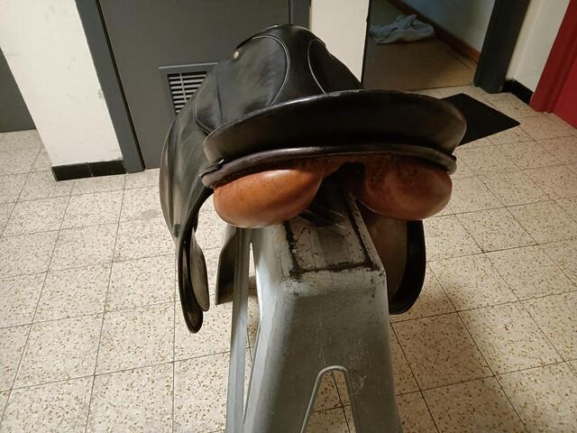 selle
