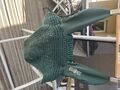 Bonnet vert sapin