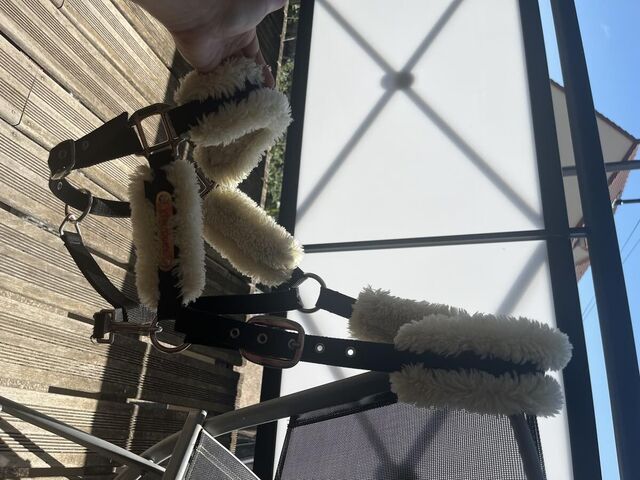 Licol en mouton