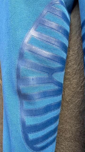 Pantalon d'équitation Equiplus bleu roi