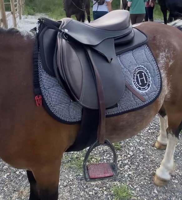 Selle privilège équitation