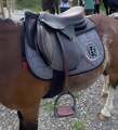Selle privilège équitation