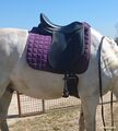 Selle dressage Tekna