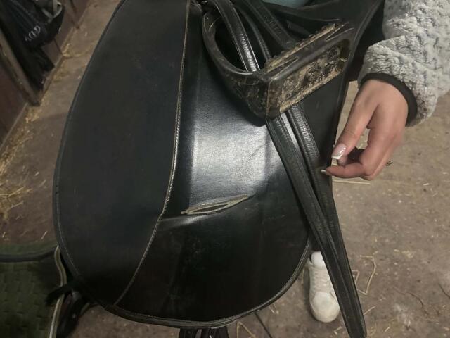 Selle Wintec 18"