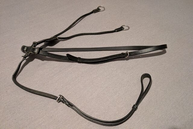 Martingale noire cheval Silver*Crown neuve