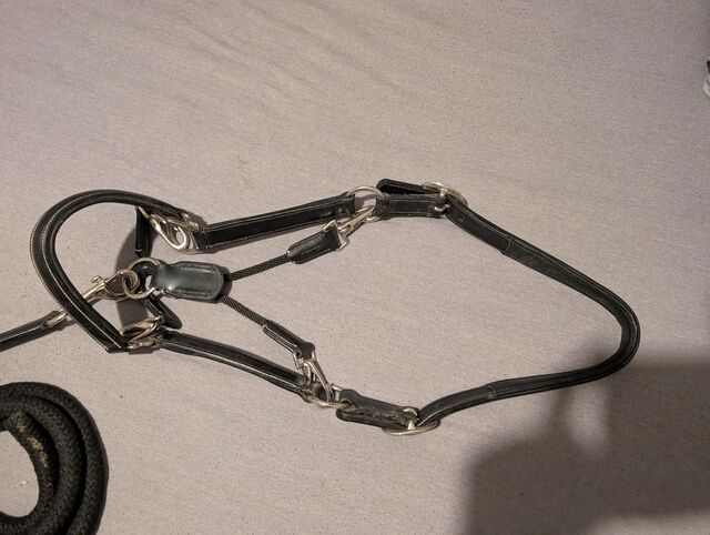 Superbe licol cuir grooming Silver*Crown