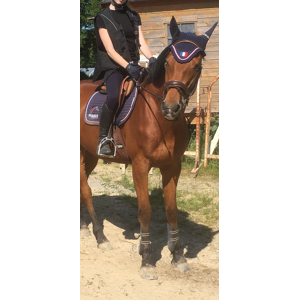 Ensemble complet lami cell France