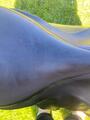 Selle Bates mixte, cuir noir, bon état