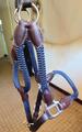 Licol et longe cuir et corde