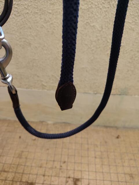 Licol et longe cuir et corde