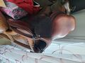 Selle cwd