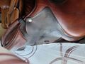 Selle cwd