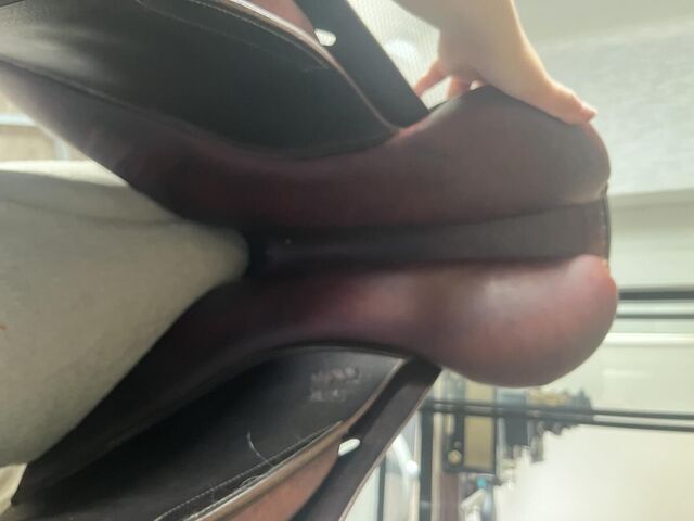 Selle forestier