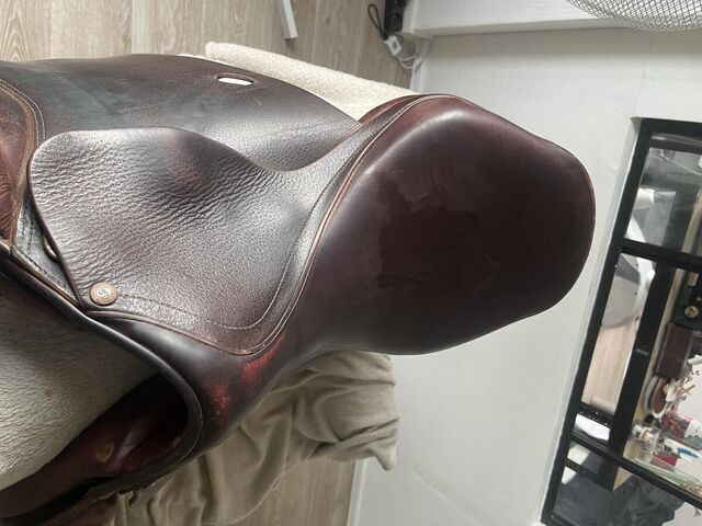 Selle forestier