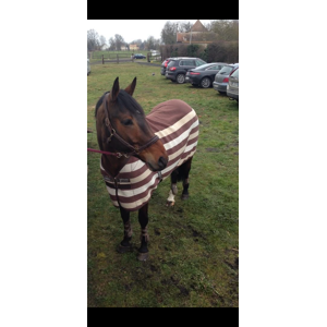 Couverture polaire horseware