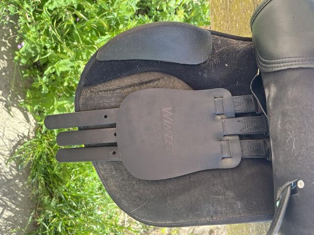 Selle Wintec 250