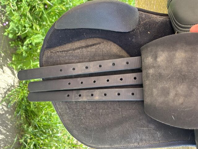 Selle Wintec 250