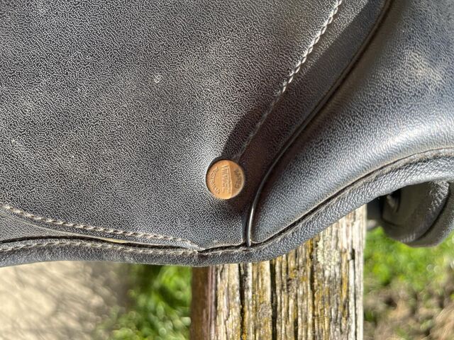 Selle Wintec 250