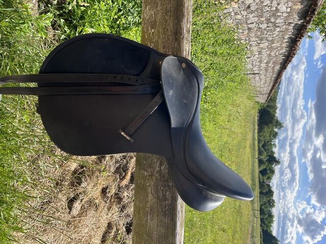 Selle Wintec 250