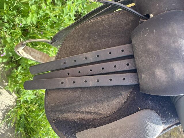 Selle Wintec 250