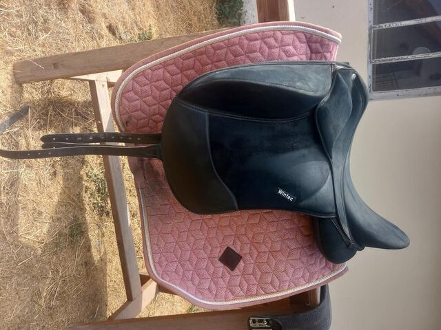 Selle dressage wintec