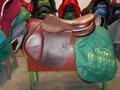 Selles Antares-Butet-Delgrange-Cwd-Meyer-Devoucoux-Childéric-GBS-Equipe-Prestige-Amerigo