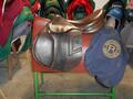Selles Antares-Butet-Delgrange-Cwd-Meyer-Devoucoux-Childéric-GBS-Equipe-Prestige-Amerigo
