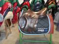 Selles Antares-Butet-Delgrange-Cwd-Meyer-Devoucoux-Childéric-GBS-Equipe-Prestige-Amerigo