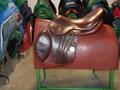 Selles Antares-Butet-Delgrange-Cwd-Meyer-Devoucoux-Childéric-GBS-Equipe-Prestige-Amerigo