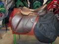 Selles Antares-Butet-Delgrange-Cwd-Meyer-Devoucoux-Childéric-GBS-Equipe-Prestige-Amerigo
