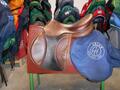 Selles Antares-Butet-Delgrange-Cwd-Meyer-Devoucoux-Childéric-GBS-Equipe-Prestige-Amerigo