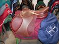 Selles Antares-Butet-Delgrange-Cwd-Meyer-Devoucoux-Childéric-GBS-Equipe-Prestige-Amerigo