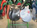Selles Antares-Butet-Delgrange-Cwd-Meyer-Devoucoux-Childéric-GBS-Equipe-Prestige-Amerigo