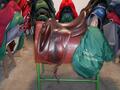 Selles Antares-Butet-Delgrange-Cwd-Meyer-Devoucoux-Childéric-GBS-Equipe-Prestige-Amerigo