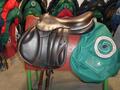 Selles Antares-Butet-Delgrange-Cwd-Meyer-Devoucoux-Childéric-GBS-Equipe-Prestige-Amerigo