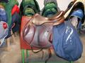 Selles Antares-Butet-Delgrange-Cwd-Meyer-Devoucoux-Childéric-GBS-Equipe-Prestige-Amerigo