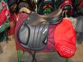 Selles Antares-Butet-Delgrange-Cwd-Meyer-Devoucoux-Childéric-GBS-Equipe-Prestige-Amerigo